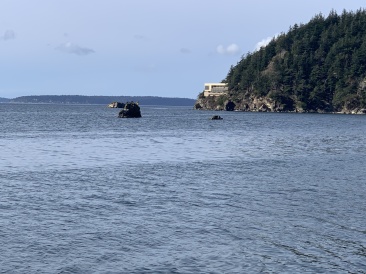 2020-10-12-Lummi-Island-WA-067-Larabee-State-Park.JPG