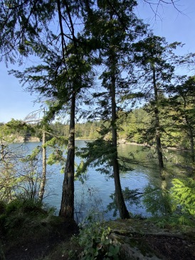 2020-10-12-Lummi-Island-WA-069-Larabee-State-Park.JPG