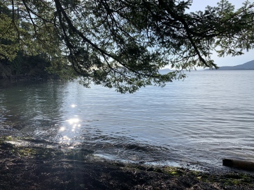 2020-10-12-Lummi-Island-WA-090-Larabee-State-Park.JPG