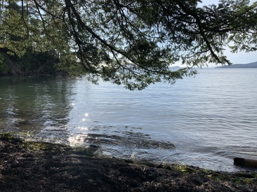 2020-10-12-Lummi-Island-WA-091-Larabee-State-Park.JPG