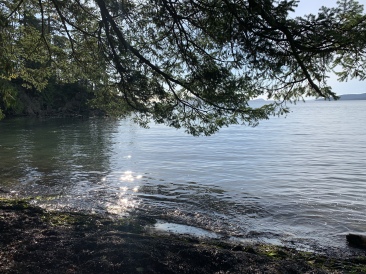 2020-10-12-Lummi-Island-WA-094-Larabee-State-Park.JPG