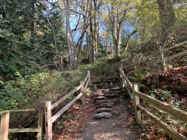 2020-10-12-Lummi-Island-WA-095-Larabee-State-Park.JPG