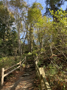 2020-10-12-Lummi-Island-WA-096-Larabee-State-Park.JPG