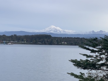 2020-10-12-Lummi-Island-WA-104-Larabee-State-Park.JPG