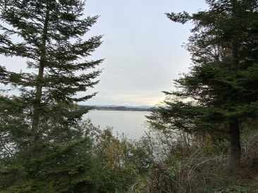 2020-10-12-Lummi-Island-WA-108.JPG