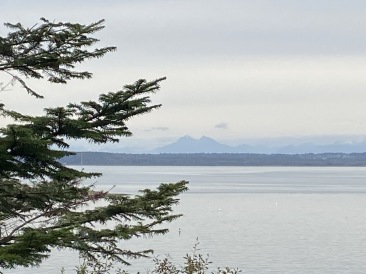 2020-10-12-Lummi-Island-WA-110.JPG