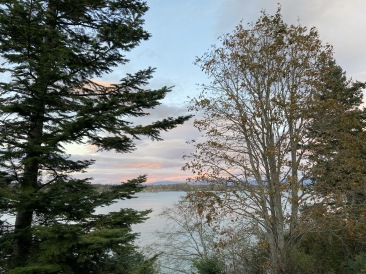 2020-10-13-Lummi-Island-WA-14.JPG