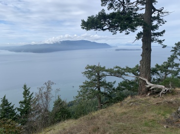2020-10-15-Lummi-Island-WA-08.JPG