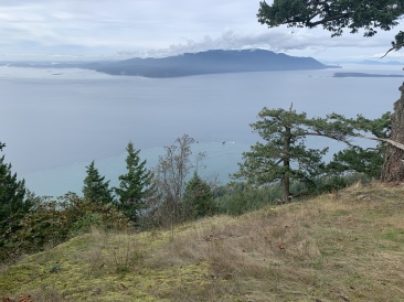 2020-10-15-Lummi-Island-WA-10.JPG