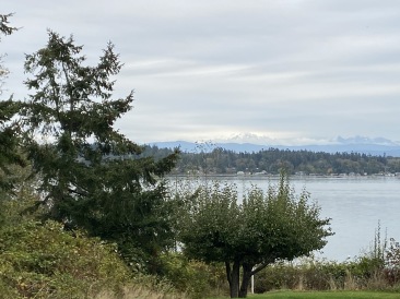 2020-10-15-Lummi-Island-WA-13.JPG