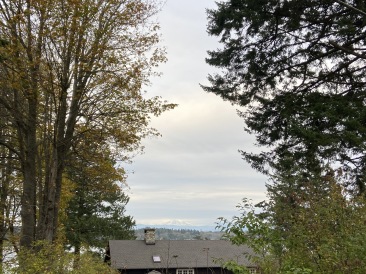 2020-10-15-Lummi-Island-WA-17.JPG