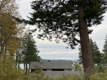 2020-10-15-Lummi-Island-WA-18.JPG