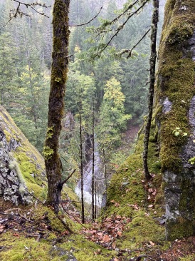 2020-10-16-Lummi-Island-WA-08-North-Cascades-National-Park.JPG