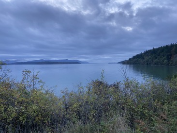 2020-10-17-Lummi-Island-WA-05.JPG