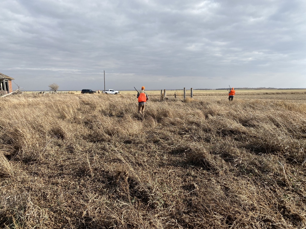 2020/11(November)/Hunting-South-Dakota/1024x768_2020-11-08-SD-Hunting-12-Josh.JPG