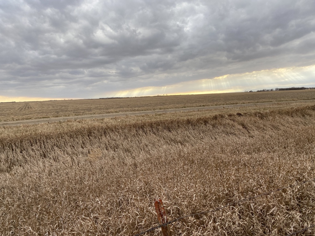 2020/11(November)/Hunting-South-Dakota/1024x768_2020-11-08-SD-Hunting-19-sunrays.JPG