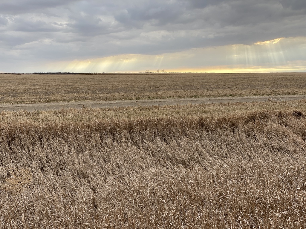 2020/11(November)/Hunting-South-Dakota/1024x768_2020-11-08-SD-Hunting-20-sunrays.JPG