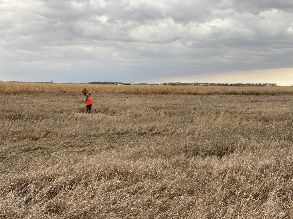 2020/11(November)/Hunting-South-Dakota/1024x768_2020-11-08-SD-Hunting-21-Josh-Mike.JPG