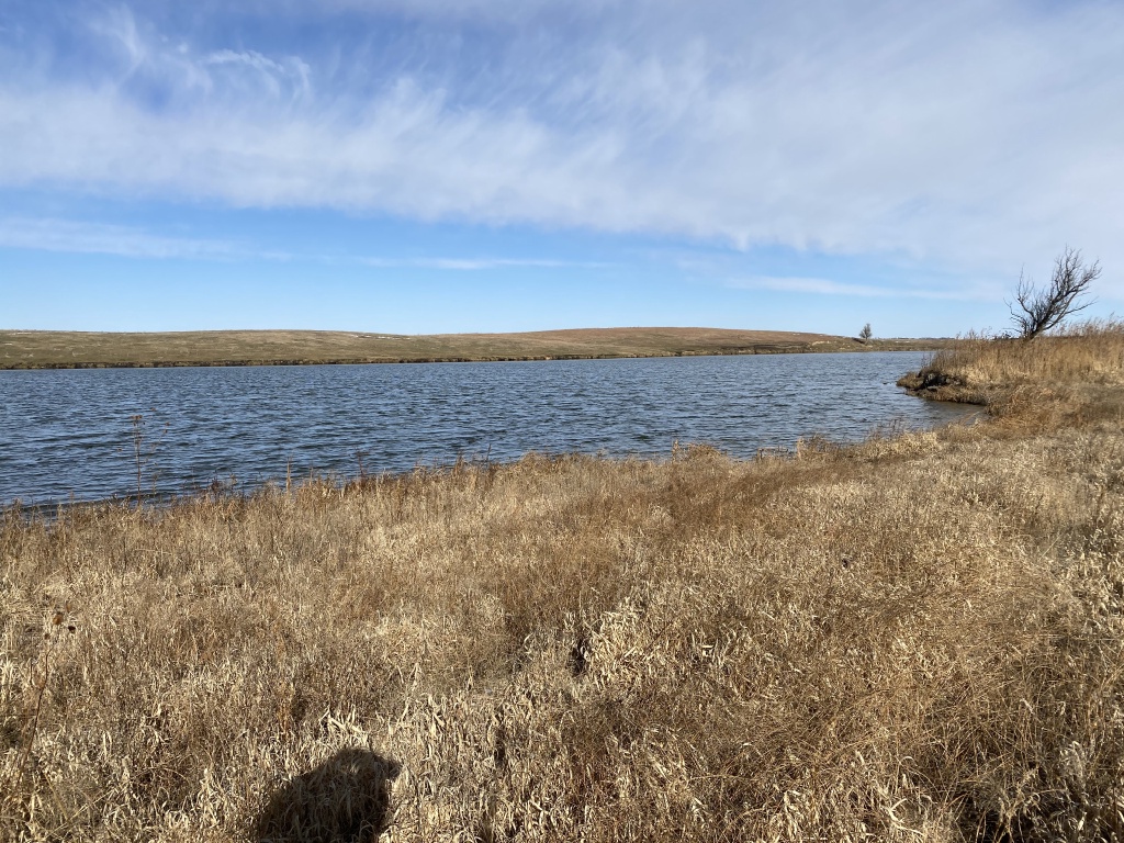 2020/11(November)/Hunting-South-Dakota/1024x768_2020-11-11-SD-Hunting-08.JPG