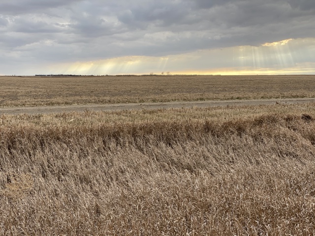 2020/11(November)/Hunting-South-Dakota/640x480_2020-11-08-SD-Hunting-20-sunrays.JPG