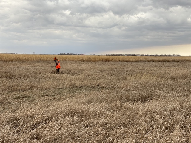 2020/11(November)/Hunting-South-Dakota/640x480_2020-11-08-SD-Hunting-21-Josh-Mike.JPG