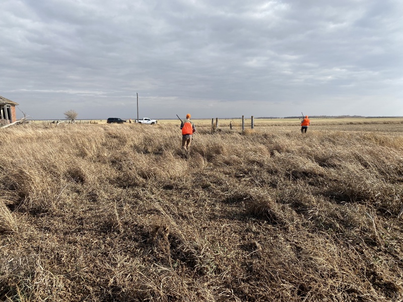 2020/11(November)/Hunting-South-Dakota/800x600_2020-11-08-SD-Hunting-12-Josh.JPG