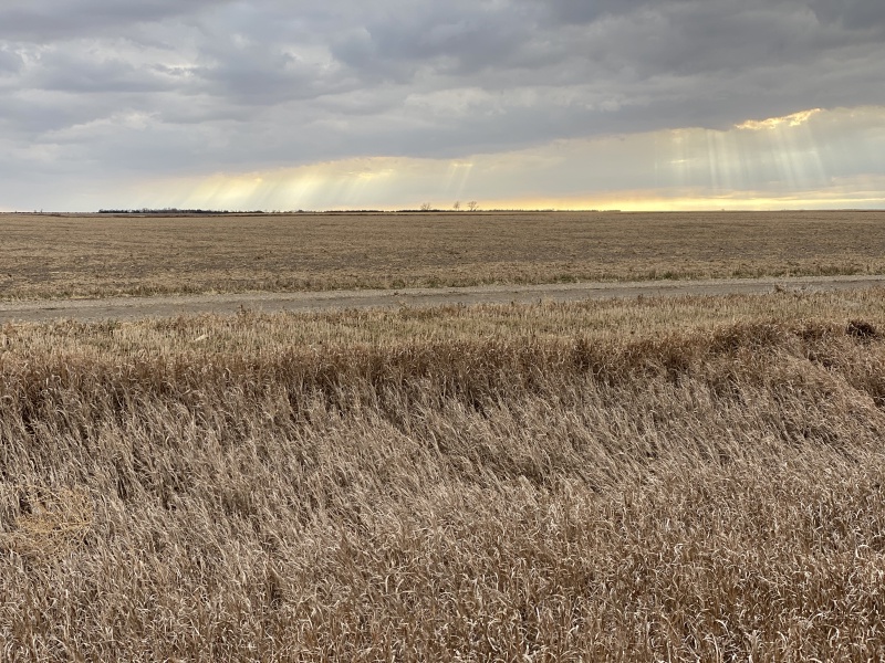 2020/11(November)/Hunting-South-Dakota/800x600_2020-11-08-SD-Hunting-20-sunrays.JPG