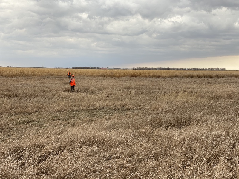 2020/11(November)/Hunting-South-Dakota/800x600_2020-11-08-SD-Hunting-21-Josh-Mike.JPG