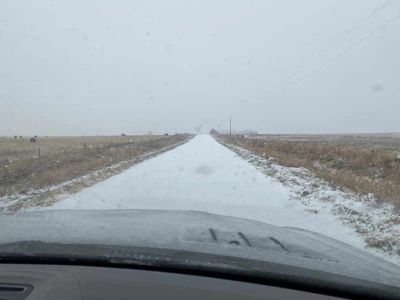 2020/11(November)/Hunting-South-Dakota/800x600_2020-11-10-SD-Hunting-04-snow.JPG