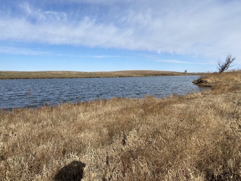 2020/11(November)/Hunting-South-Dakota/800x600_2020-11-11-SD-Hunting-08.JPG