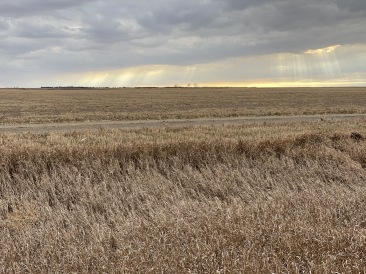 2020-11-08-SD-Hunting-20-sunrays.JPG
