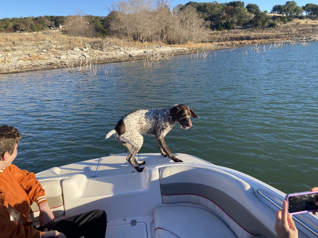 2020/12(December)/Canyon-Lake-Camping-Terhunes/1024x768_2020-12-19-Canyon-Lake-Camping-23-Blaze.JPG