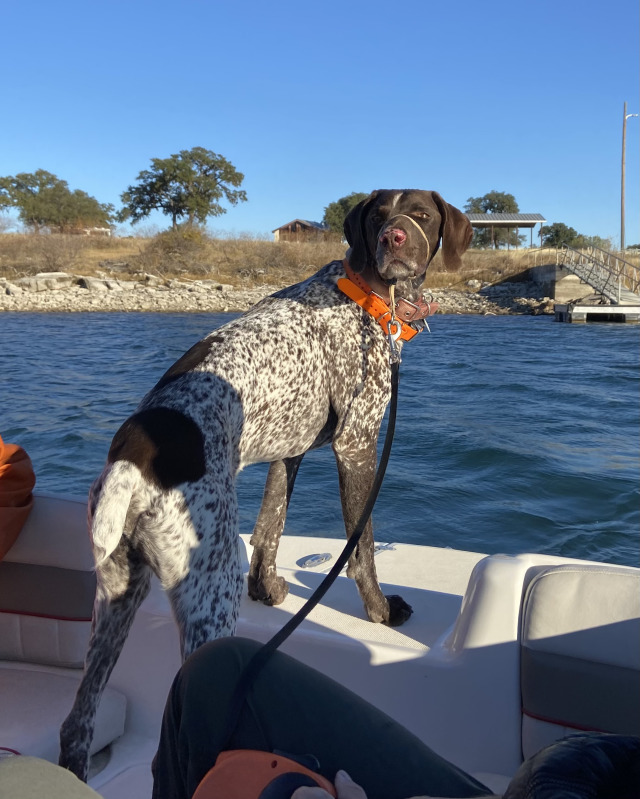 2020/12(December)/Canyon-Lake-Camping-Terhunes/640x480_2020-12-19-Canyon-Lake-Camping-20-Blaze.jpg
