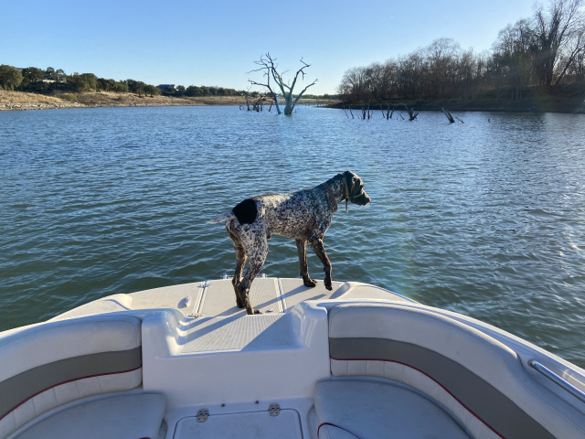 2020/12(December)/Canyon-Lake-Camping-Terhunes/640x480_2020-12-19-Canyon-Lake-Camping-29-Blaze.jpg