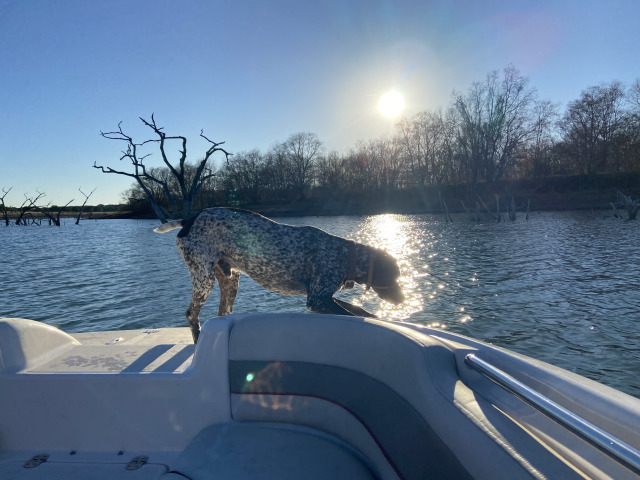 2020/12(December)/Canyon-Lake-Camping-Terhunes/640x480_2020-12-19-Canyon-Lake-Camping-30-Blaze.jpg