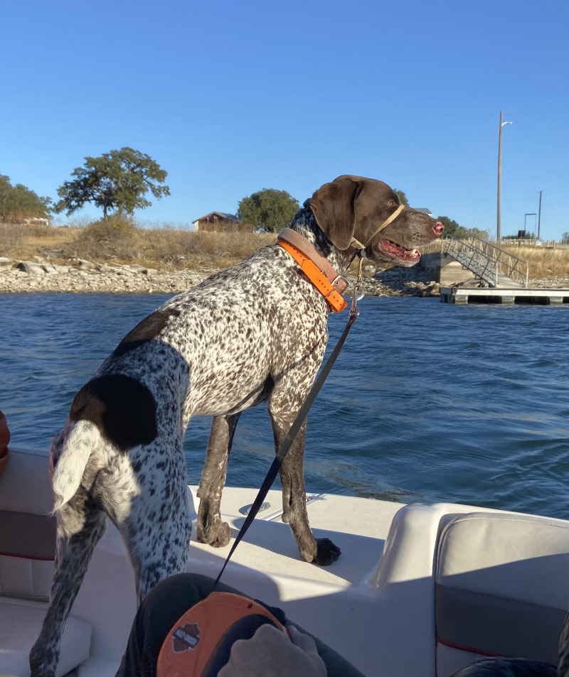 2020-12-19-Canyon-Lake-Camping-18-Blaze.jpg
