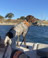 2020-12-19-Canyon-Lake-Camping-18-Blaze.jpg