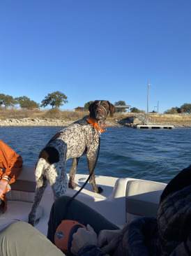 2020-12-19-Canyon-Lake-Camping-19-Blaze.jpg