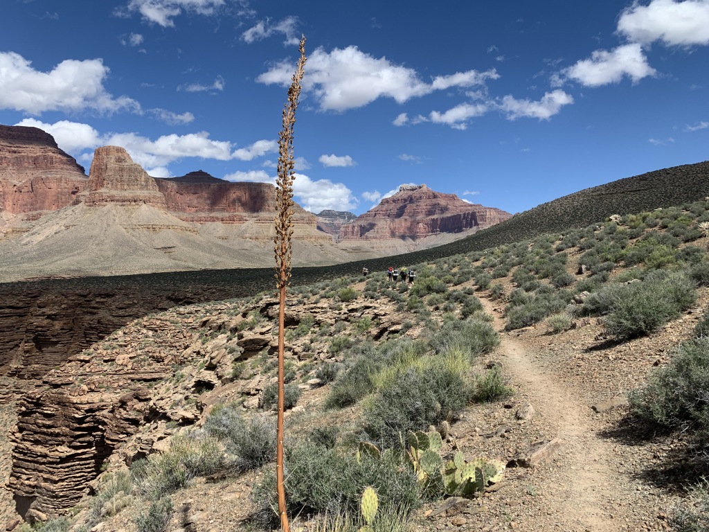2020-03-17-Grand-Canyon-Crew8787-31-Dax-Izzy-Addison-Nicole-Carl-landscape-GOOD.JPG