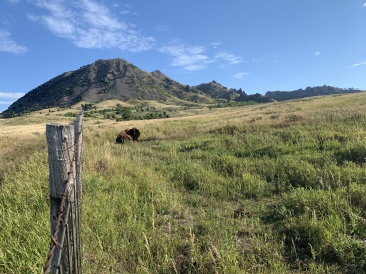2020-08-12-Sturgis-09-Bear-Butte-bike-ride-Landscape-GOOD.JPG
