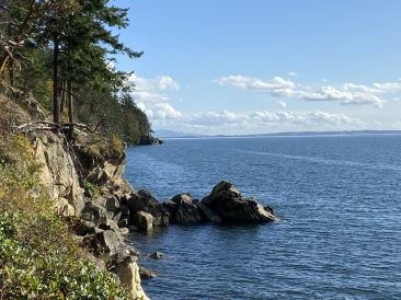 2020-10-12-Lummi-Island-WA-083-Larabee-State-Park-Landscape-GOOD.JPG