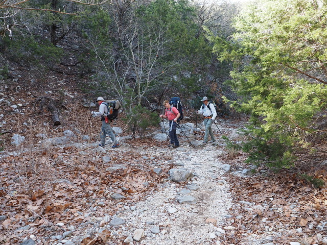 2021-01-17-Lost-Maples-Camping-Crew-8787-03-Carl-Travis.JPG