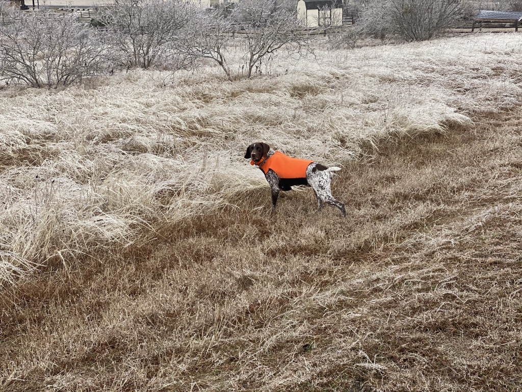 2021/02(February)/Snow-Storm-2-Texas/1024x768_2021-02-12-Texas-Ice-Storm-06-Blaze.JPG
