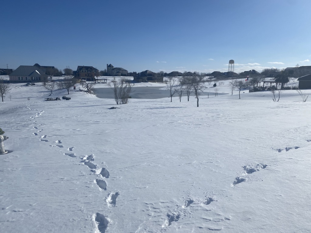 2021/02(February)/Snow-Storm-2-Texas/1024x768_2021-02-15-Texas-Ice-Storm-59.JPG