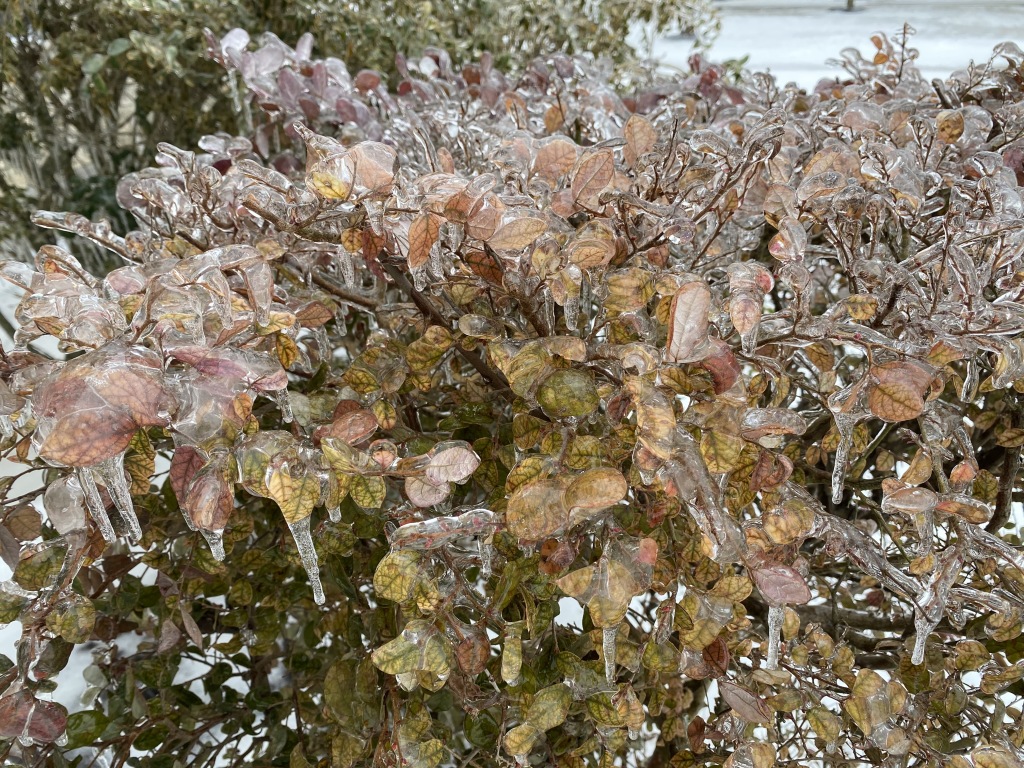 2021/02(February)/Snow-Storm-2-Texas/1024x768_2021-02-18-Texas-Ice-Storm-08.JPG