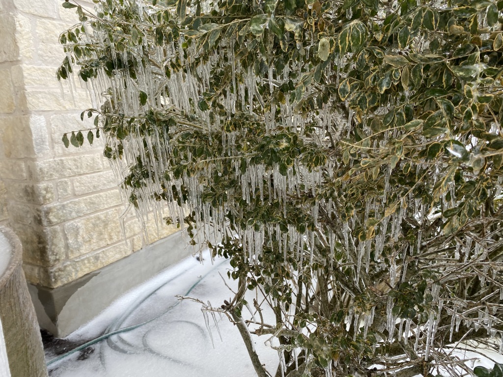 2021/02(February)/Snow-Storm-2-Texas/1024x768_2021-02-18-Texas-Ice-Storm-09.JPG