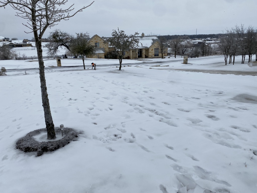 2021/02(February)/Snow-Storm-2-Texas/1024x768_2021-02-18-Texas-Ice-Storm-16-Blaze.JPG