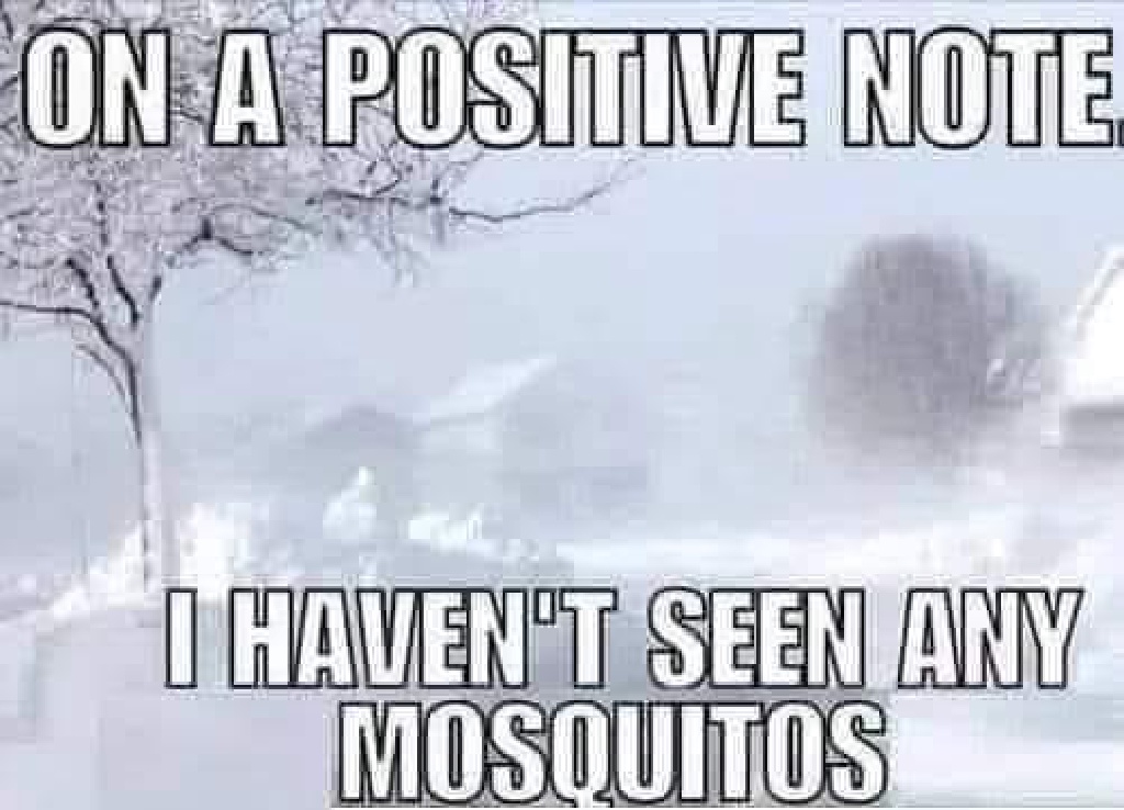 2021/02(February)/Snow-Storm-2-Texas/1024x768_2021-02-27-Meme-06-mosquitos.JPG