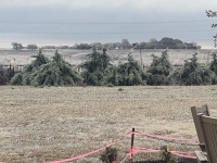 2021/02(February)/Snow-Storm-2-Texas/2021-02-11-Texas-Ice-Storm-01.JPG