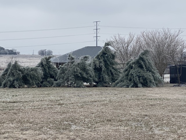 2021/02(February)/Snow-Storm-2-Texas/640x480_2021-02-12-Texas-Ice-Storm-03.JPG